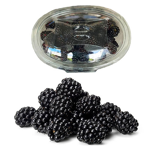Berries Mora Jumbo 500g