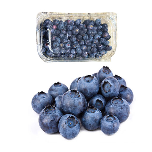 Berries Arándanos 500g