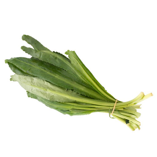 Culantro Coyote 1 Rollo