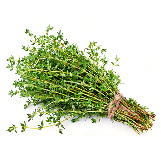 Hort. Tomillo 1 Rollo