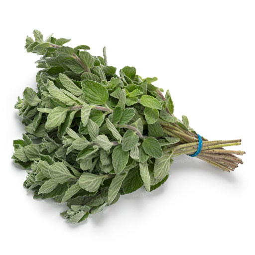 Hort. Orégano 1 Rollo