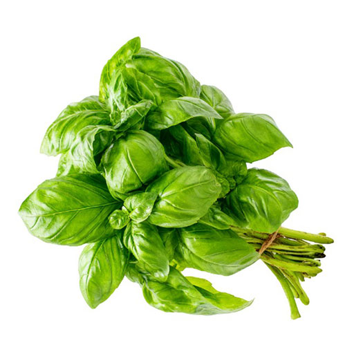 Hort. Albahaca 1 Rollo