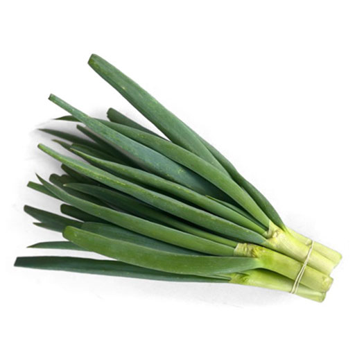 Hort. Cebollín 1 Rollo