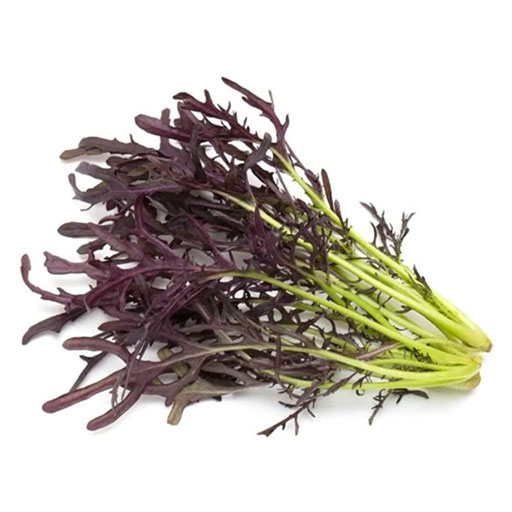 Mostaza Japonesa 250g