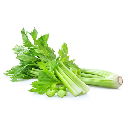 Hort. Apio 1 Rollo