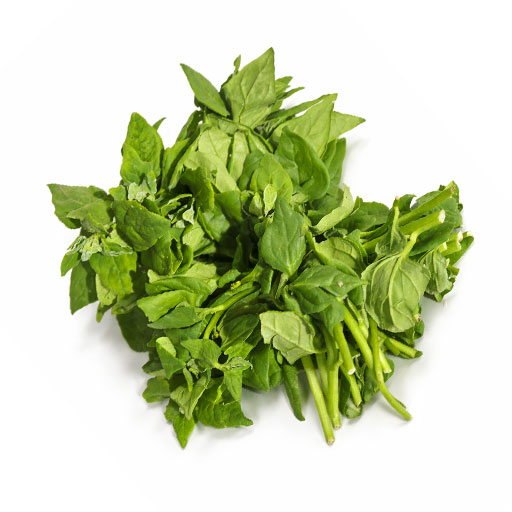 Espinaca Premium 1 Rollo