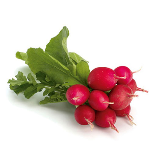Rábanos 1 Rollo