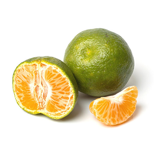 F.Nacional Mandarina Criolla 1 ud