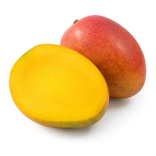 Manga Tommy Seleccionada Nacional 1 ud