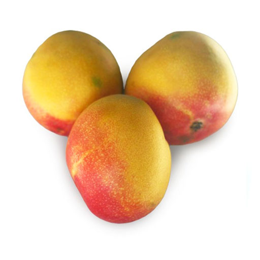 Manga Jade Mediana 1Kg