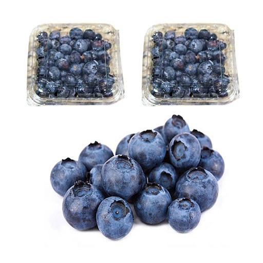 Berries Arándanos 250g