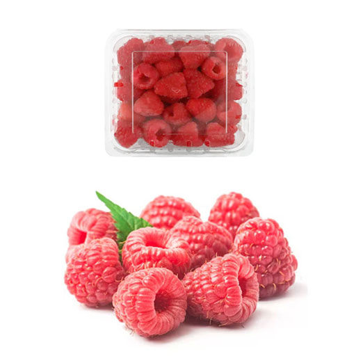 Berries Frambuesa Seleccionada 125g