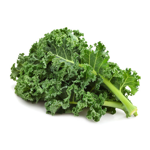 Hort. Kale 1 Rollo