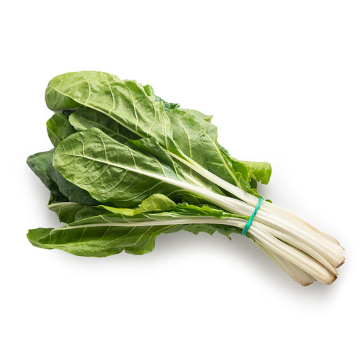 Hort. Acelga 1 Rollo