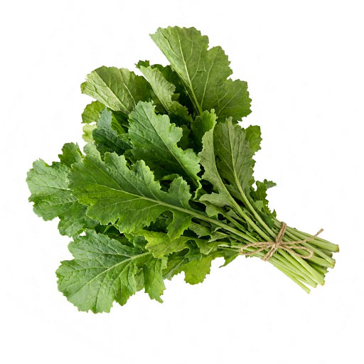 Hort. Mostaza Criolla 1 Rollo