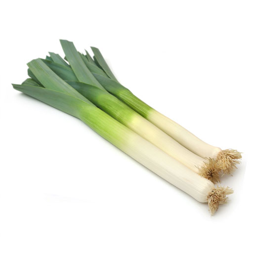Hort. Puerro 1 Rollo