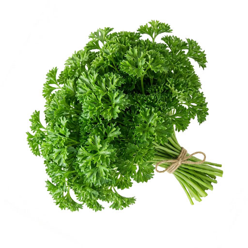 Perejil 1 Rollo