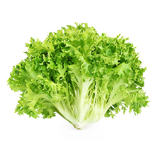 Lechuga Escarola 1 ud