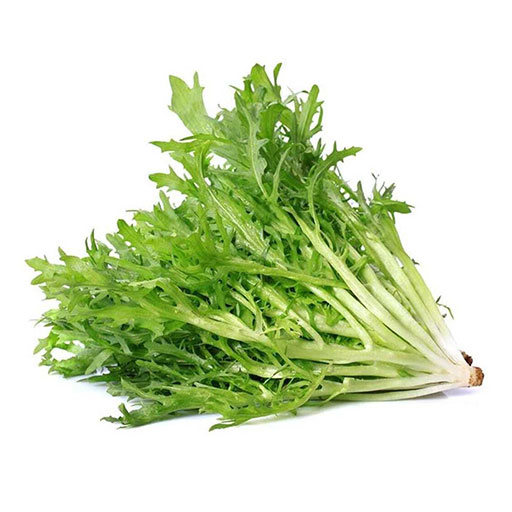 Hort. Lechuga Frisse 1 ud