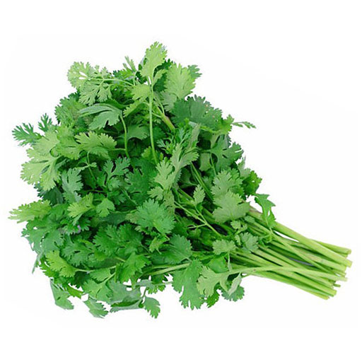 Culantro de Castilla 250g