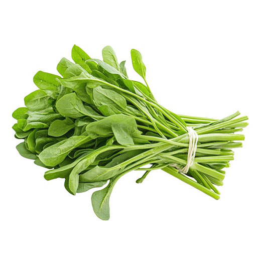 Espinaca Premium Rollo